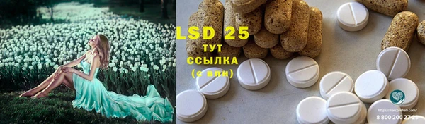 MESCALINE Бородино