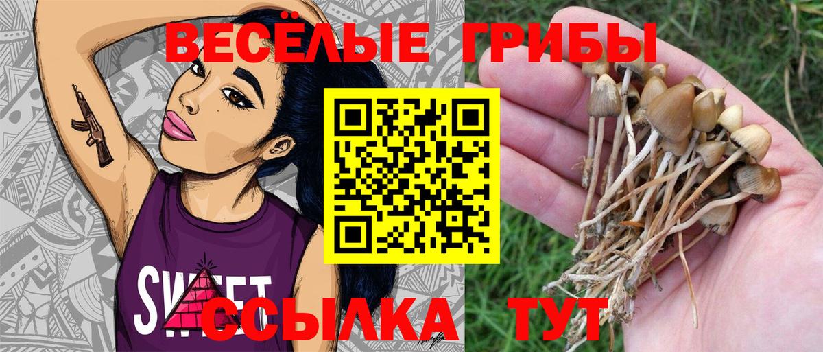 наркотики  Галлюциногенные грибы Psilocybine cubensis  Вход с VPN  Свободный 